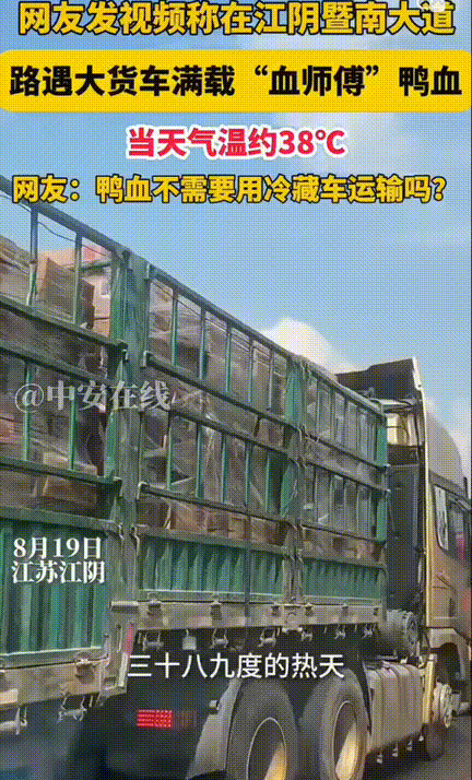 太无语了？江苏江阴，当地气温39º，男子在江阴暨南大道上碰到了一辆大货车，满车货