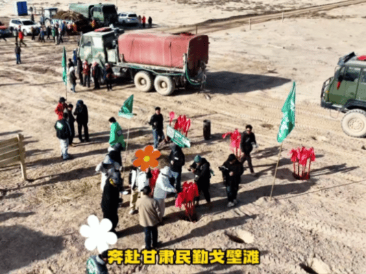 杭州年轻人的团建方式更新了杭州一公司开启193500棵梭梭树种植植树节前夕，杭州