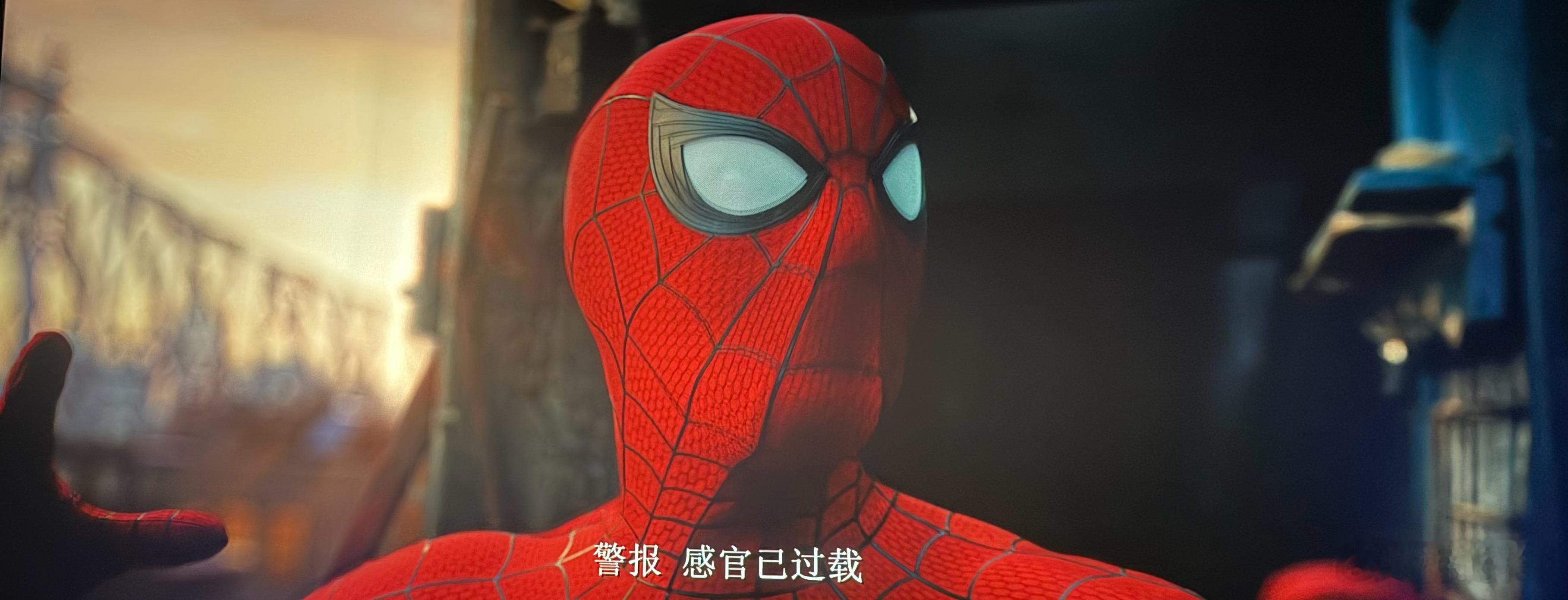 小蜘蛛终于变成蜘蛛精了！！！彼得和MJ的故事还在待续，我不信就这样结束了，不然我