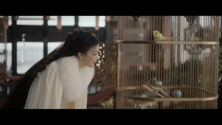 王楚然好像开了净化一样 王楚然成何体统放走笼中鸟这段真的看得让人又感动又治愈，感