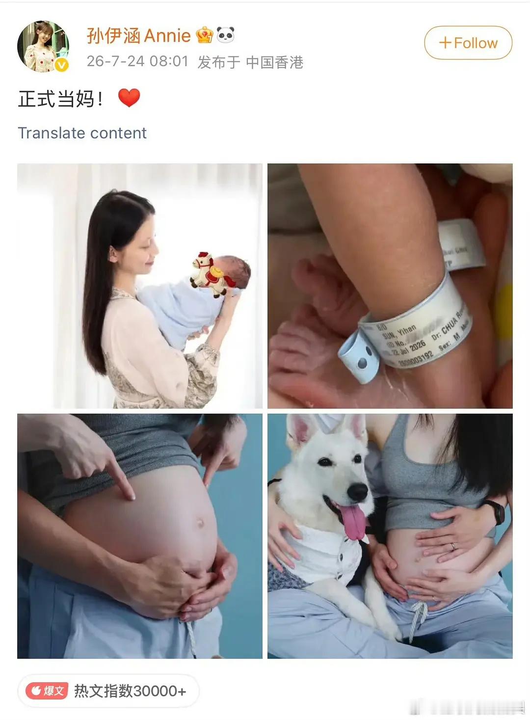 🌸粉还是事业粉多啊 