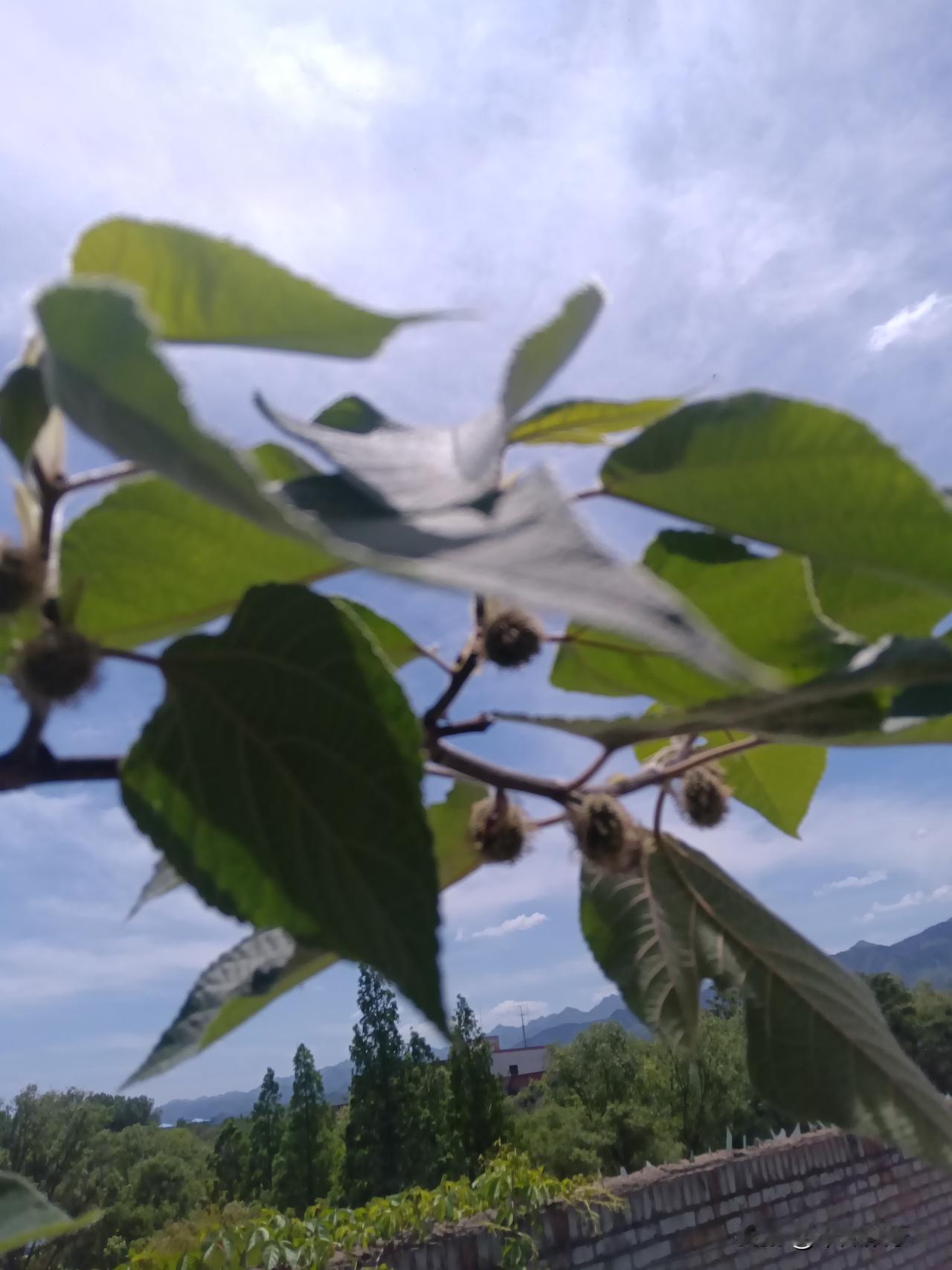 炒股和上班的区别！

炒股，波动很大。动辄一天能赚几千块。但平均下来，一个月赚不