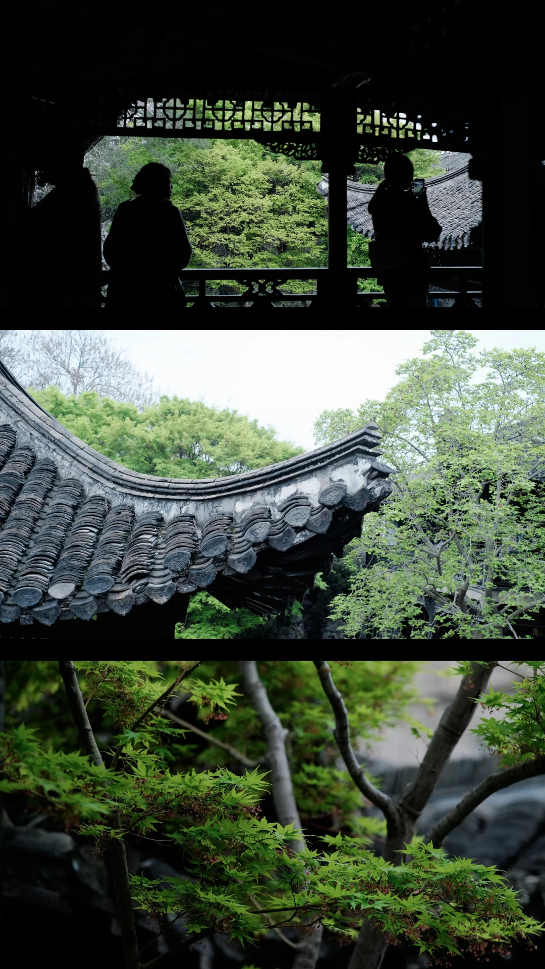 烟花三月下扬州｜何园新绿🟢