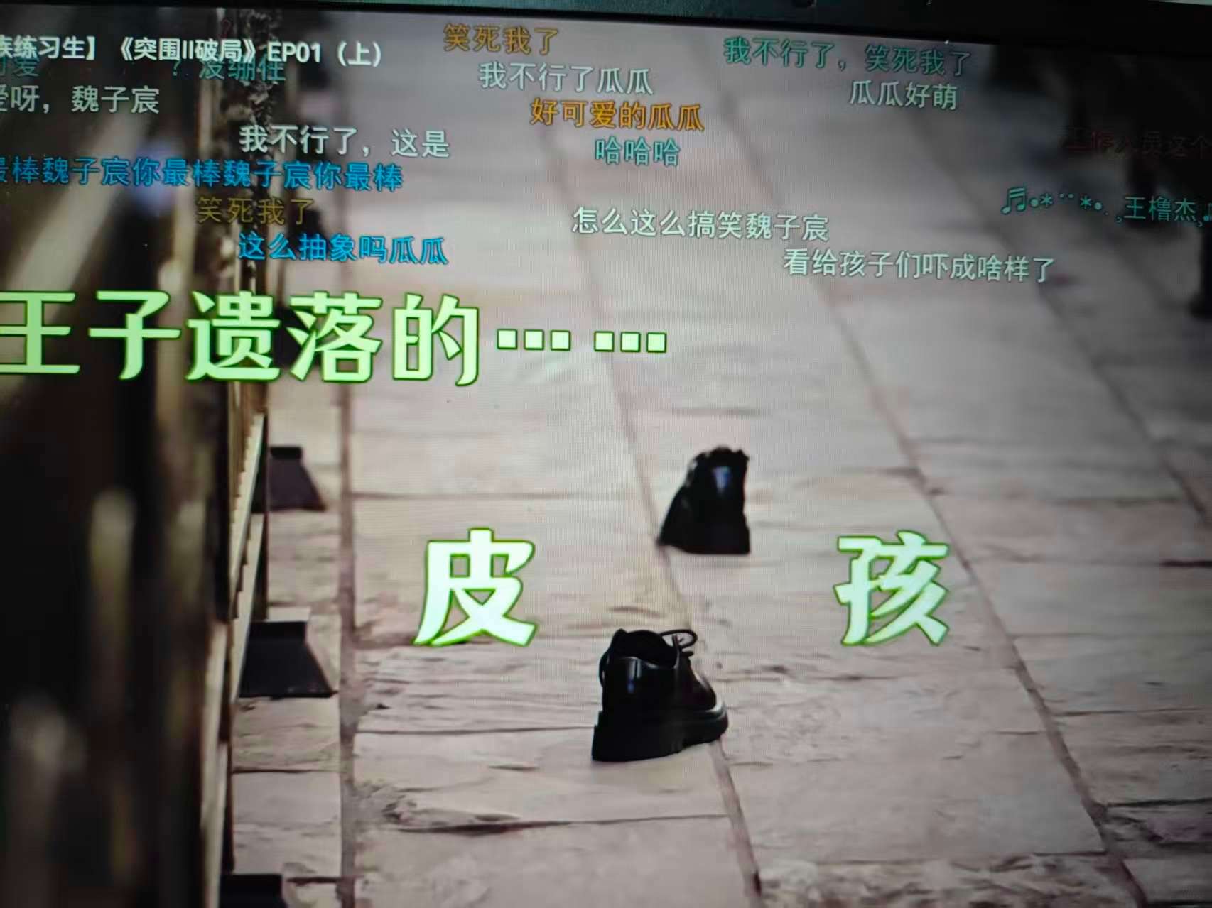 错了后期老师，这是灰姑娘的皮孩 