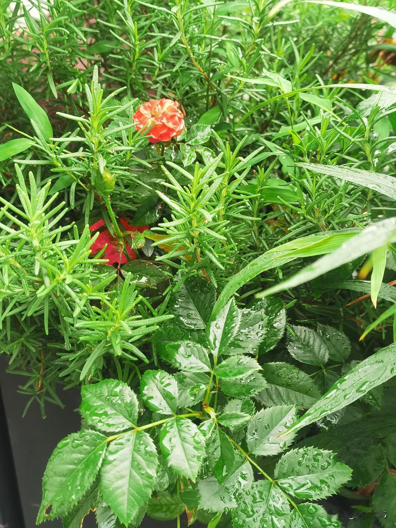 人，各有所趣。
有的文艺，有的喜吃喝，有的好玩乐。
千姿百态，各有不同。
走上修
