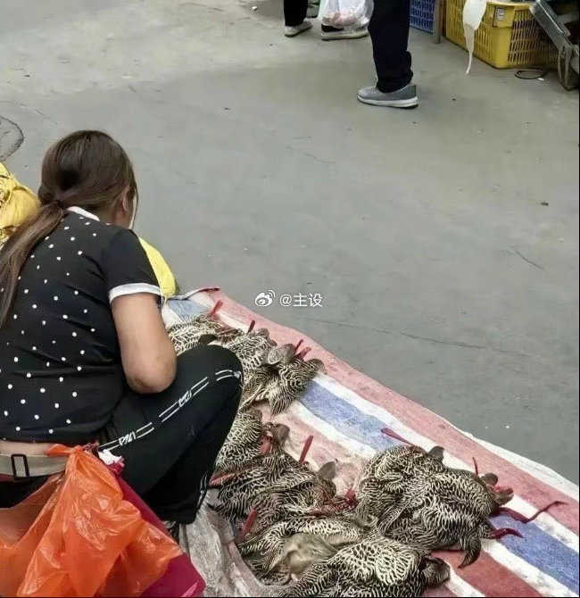 这位大姐你的心是真大！这个能卖呀？ 