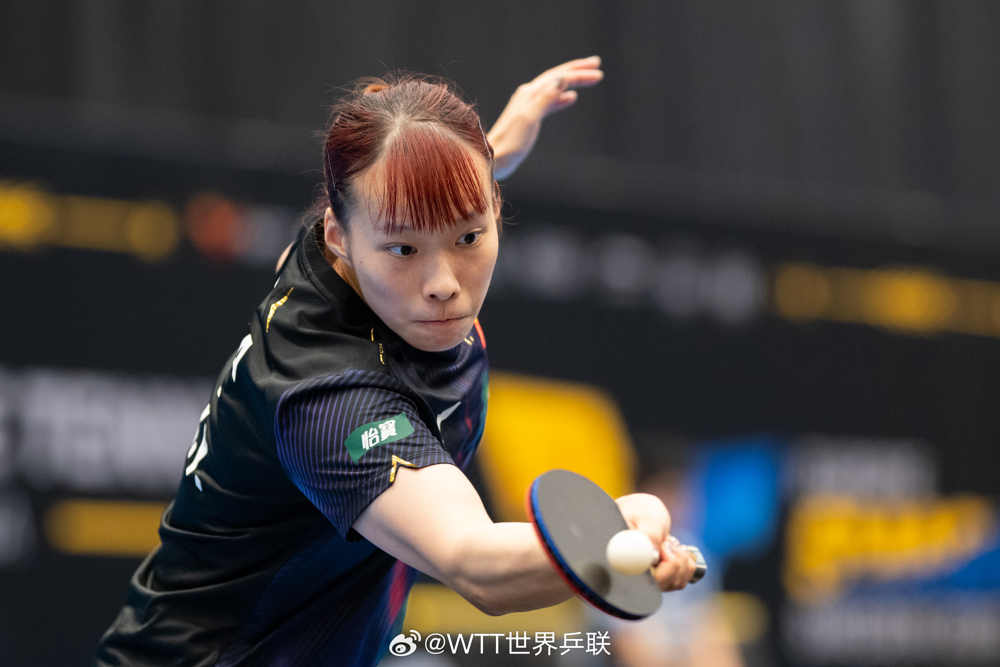 #石洵瑶vs郑怡静# WTT欧洲大满贯瑞典站女单首轮，郑怡静3-2战胜刘杨子，晋