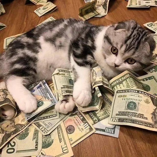 十月接下招 财 猫 💰🙏 ​​​
