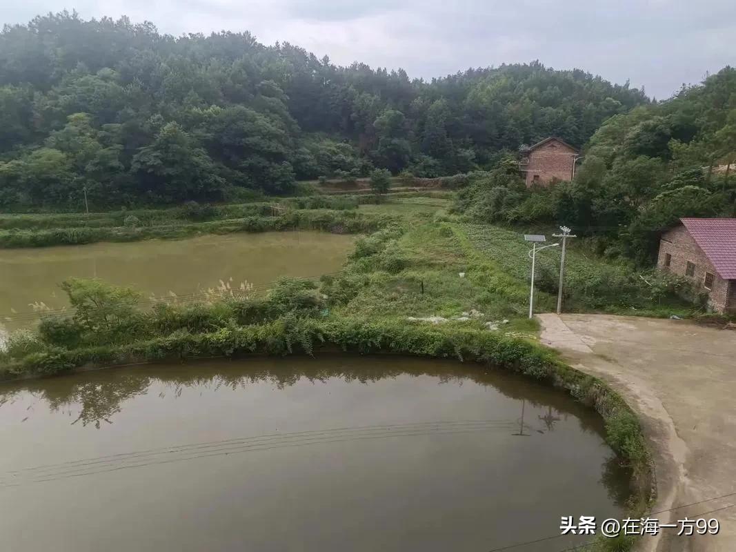 既然说评击“农闹”是污农、毁农，那为什么不去举报这些针对“农闹”的人呢？甚至可以