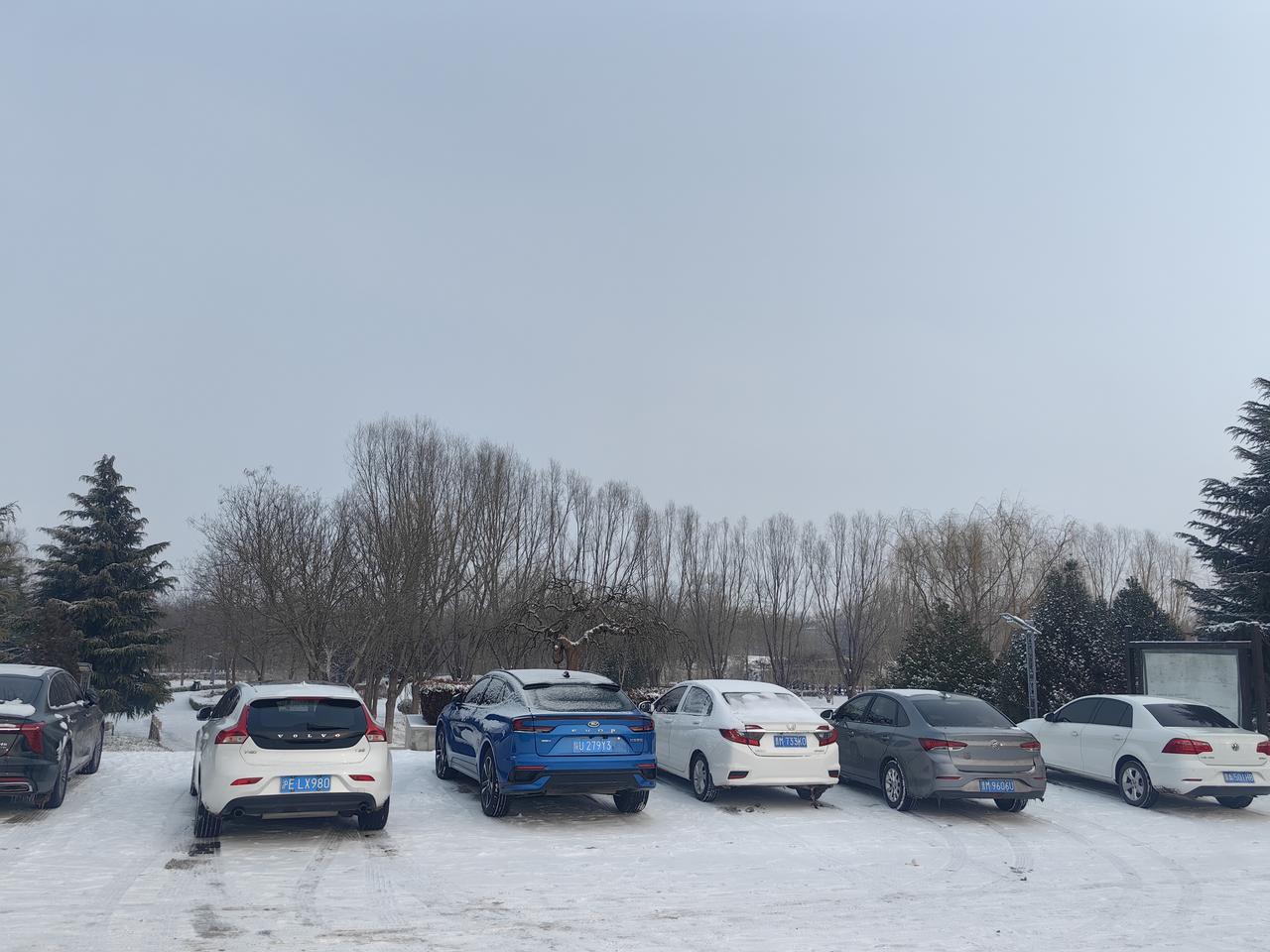 永乐宫附近，原驰蜡象，银装素裹，北国风光。[送自己一朵花][送自己一朵花][送自