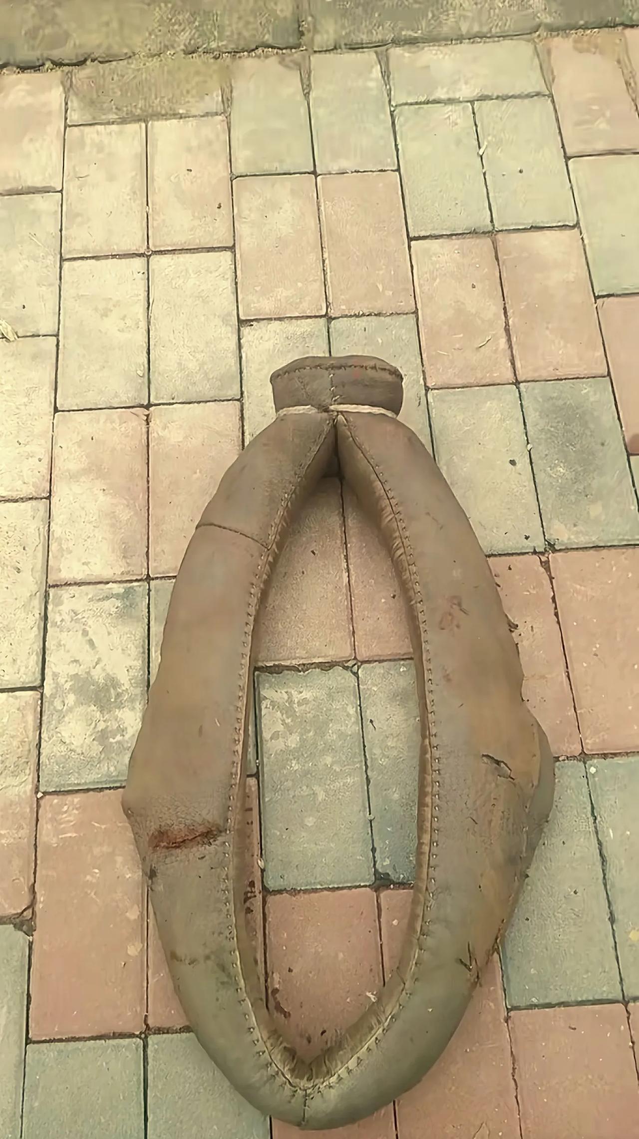 这是个什么东东？
下图⬇️

第一次见到，很好奇，很想知道也是个什么东西，

你