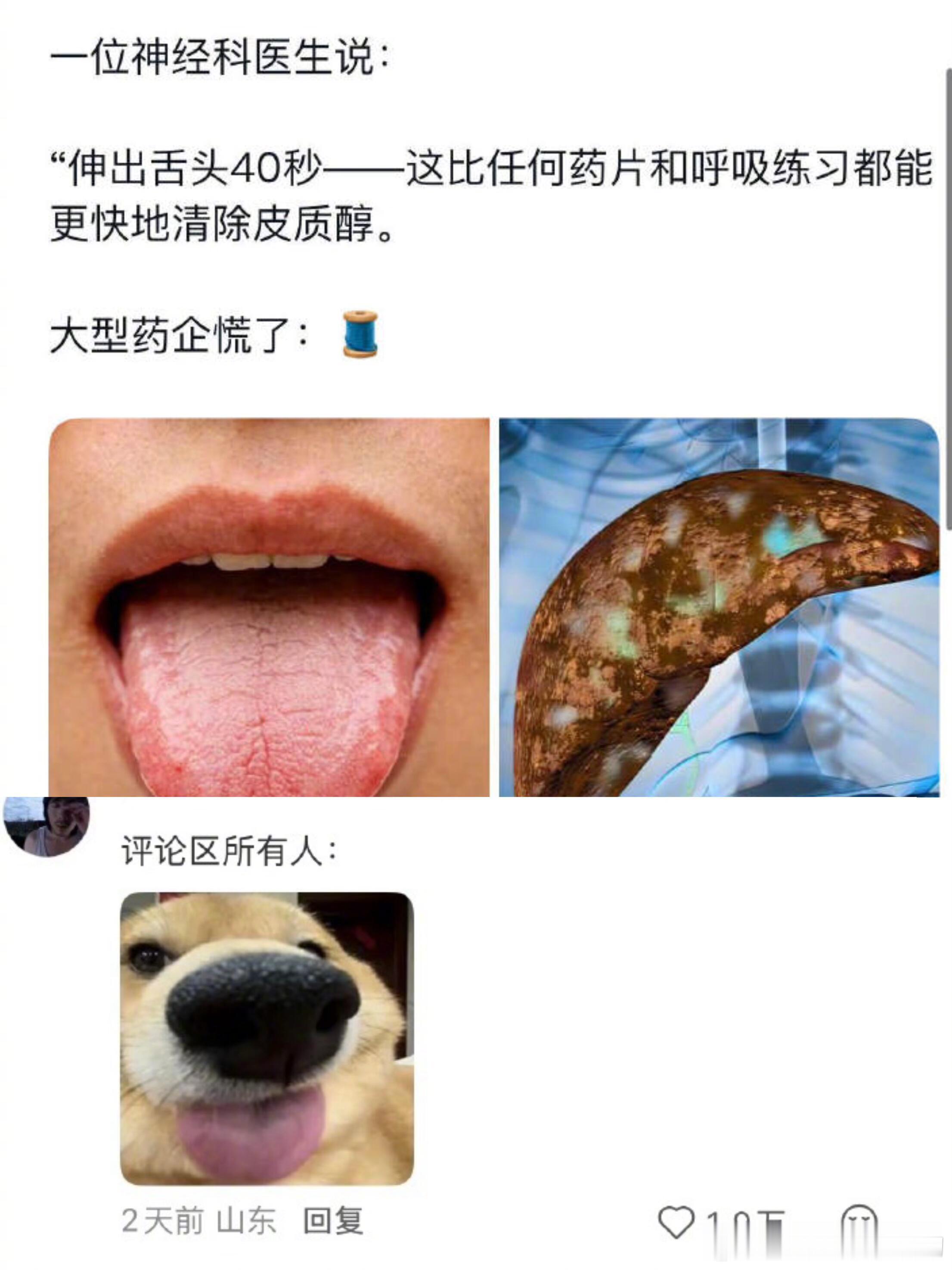 怪不得小狗不焦虑🤣所有人马上伸出舌头！| 