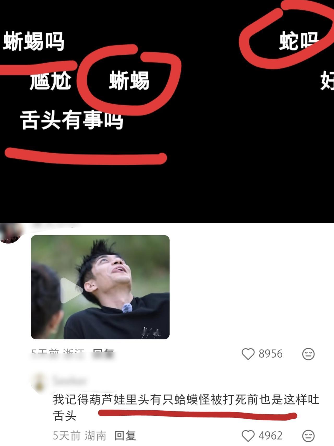 《势均力敌的我们2》男嘉宾黄嘉玮的长相多有特色？网友调侃像蛇、三星堆、蜥蜴，一直