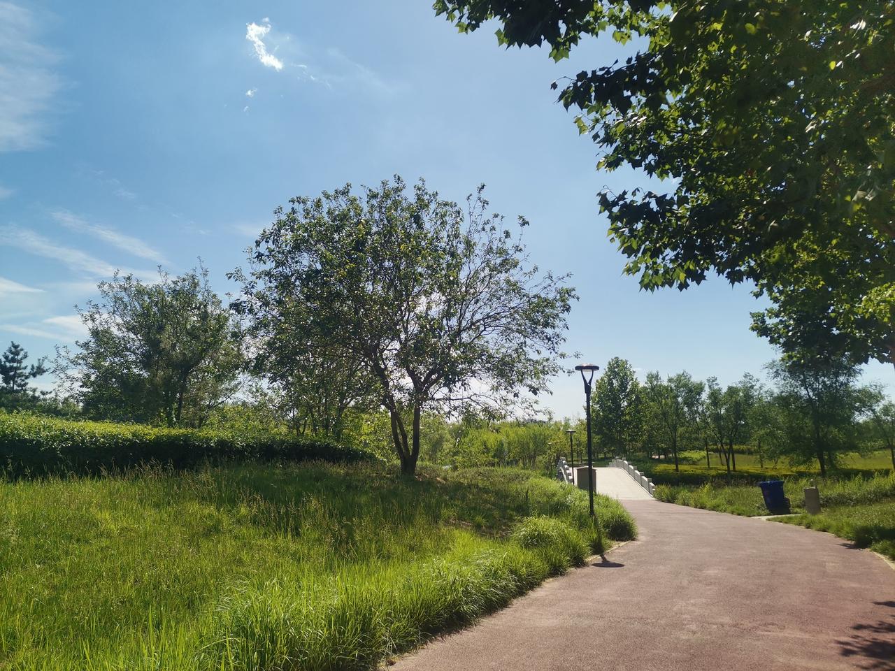德州市太阳能小镇北边，有一个景色绝佳的宝藏公园。由于公园周围小区分布较远，平时鲜