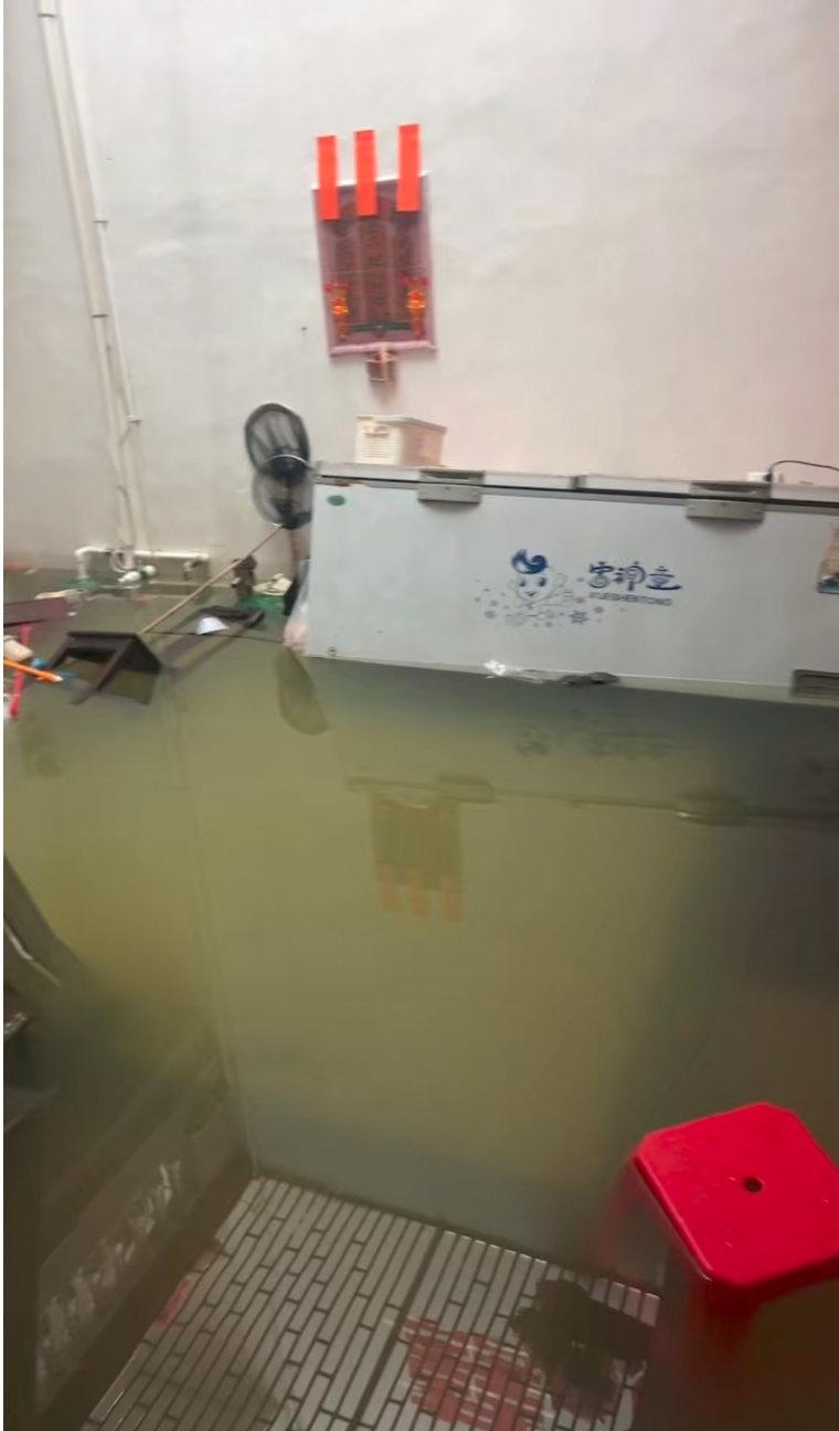 【广东陆丰暴雨致多地被淹现状】陆丰暴雨致多地被淹亲历者发声6月13日16时至15