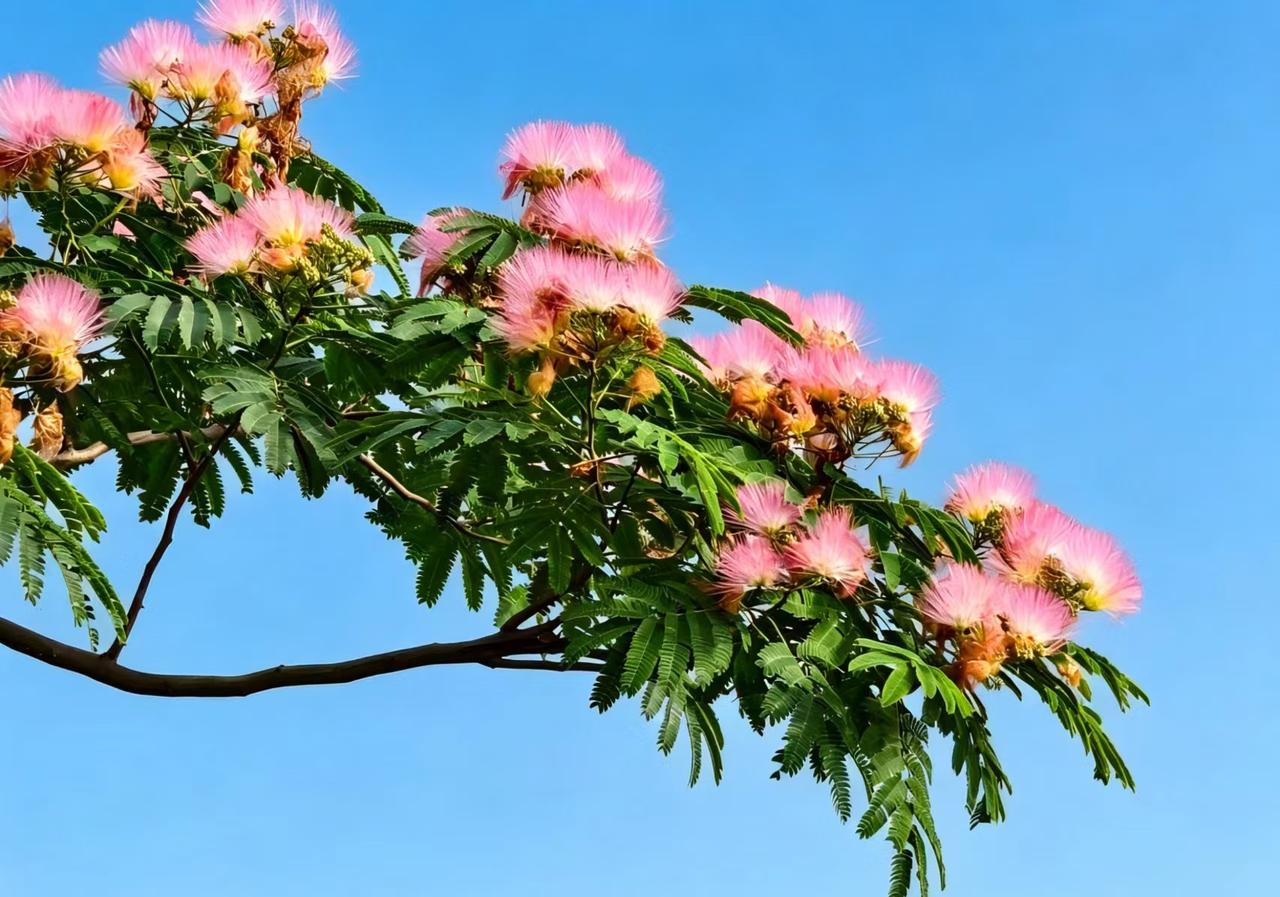人在地上走，美在身边藏
        不知大家发现没有，散步既是锻炼身体最廉价
