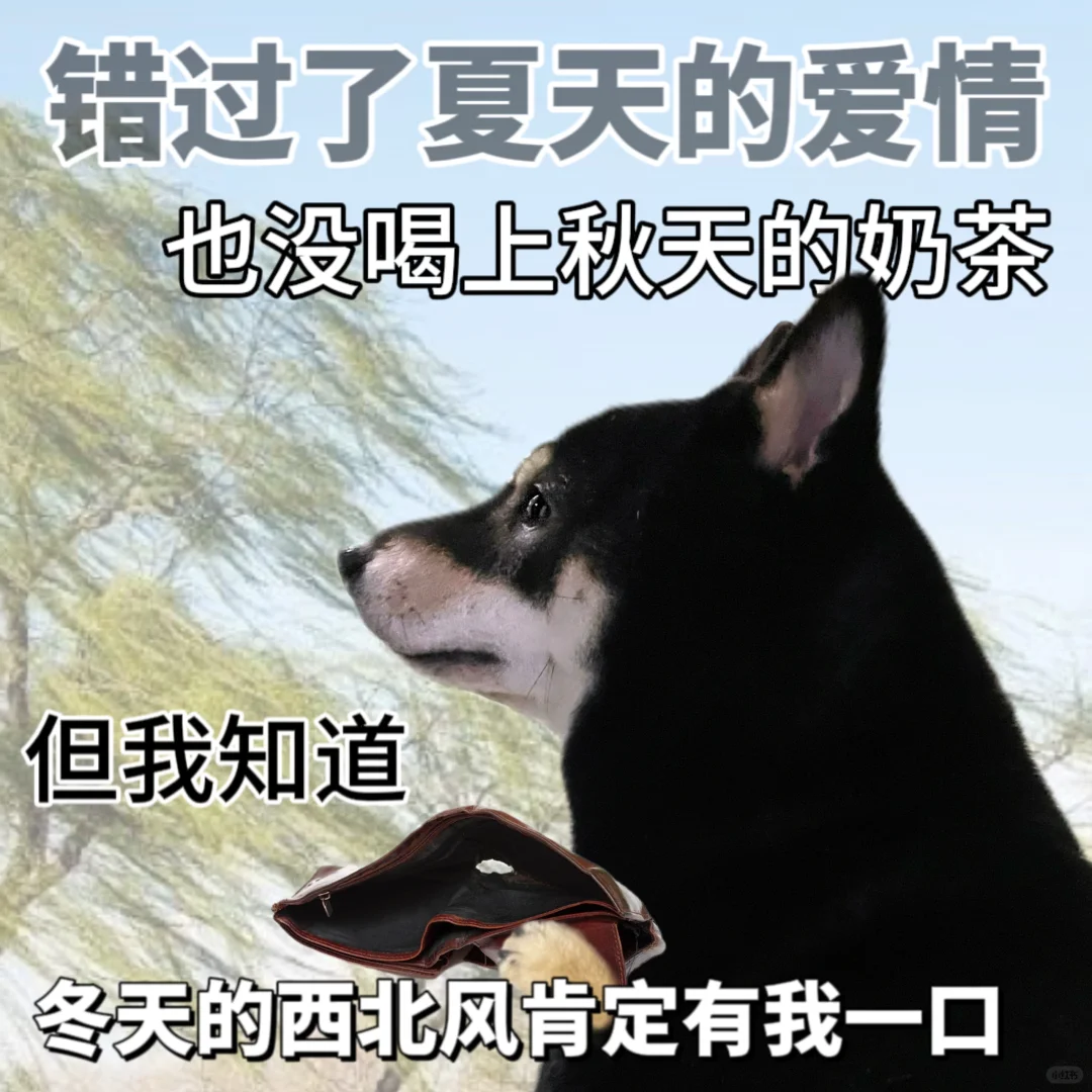 脱单了，今天穿两件了🧣