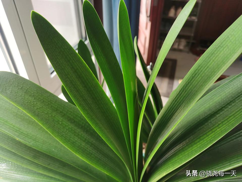 刚打开就看到庞老弟这篇文章，真是太及时啦！正需要呢，感谢分享！祝老弟下午好心情！