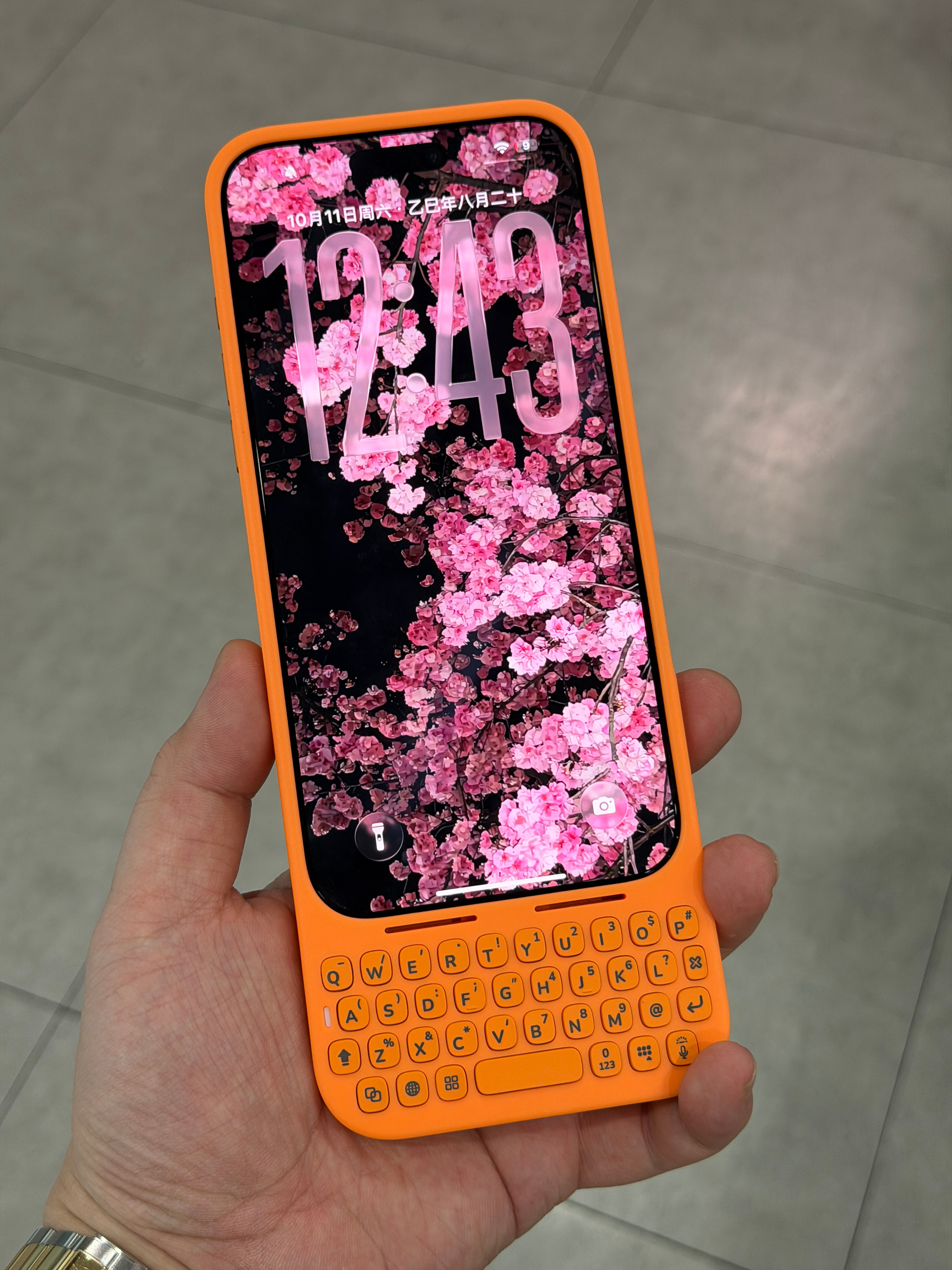 这是我新买的iPhone18 Pro Max[二哈] ​​​