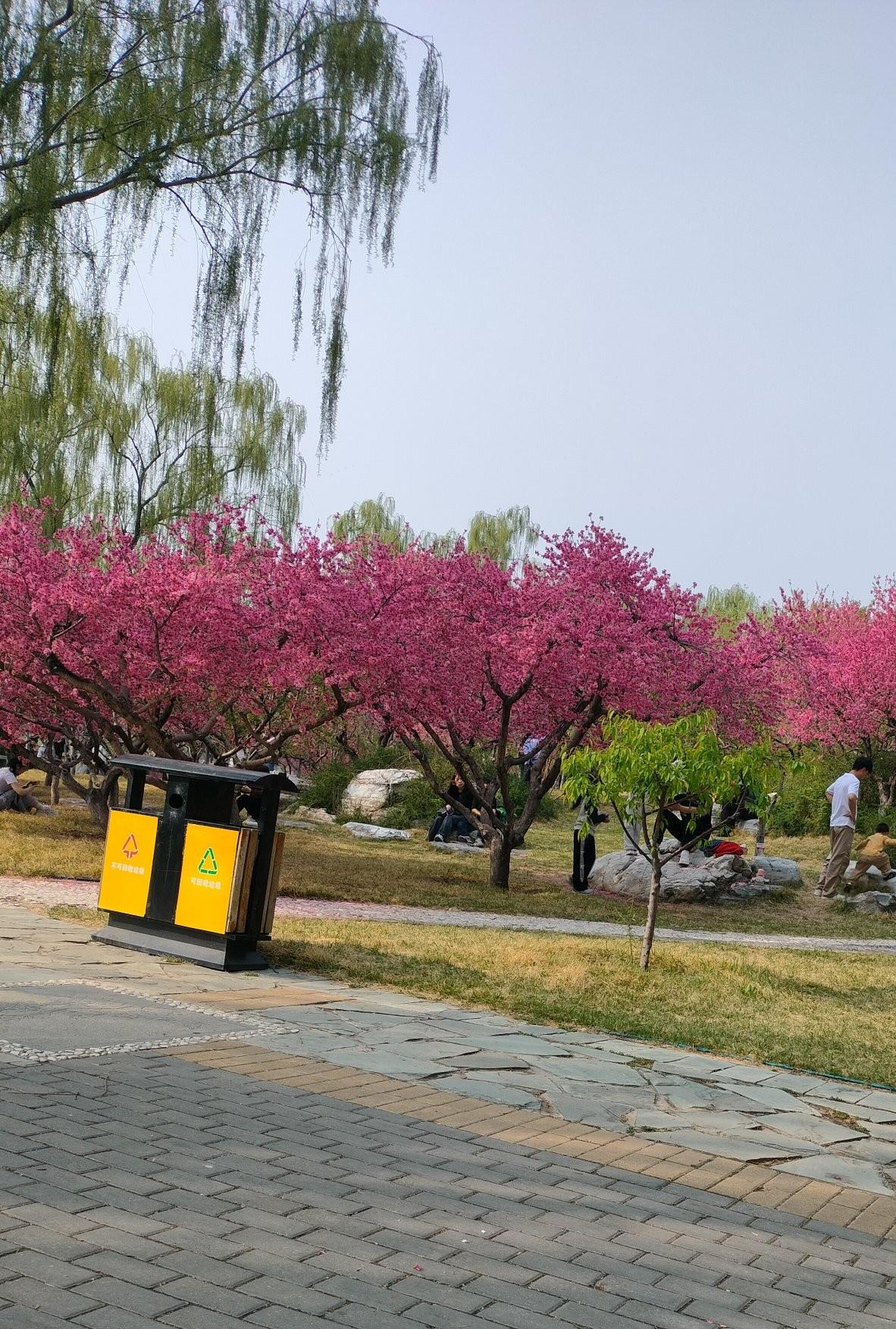 如果你想把自己拍成仙女一样，可以租各种服装，来一组美照吧。