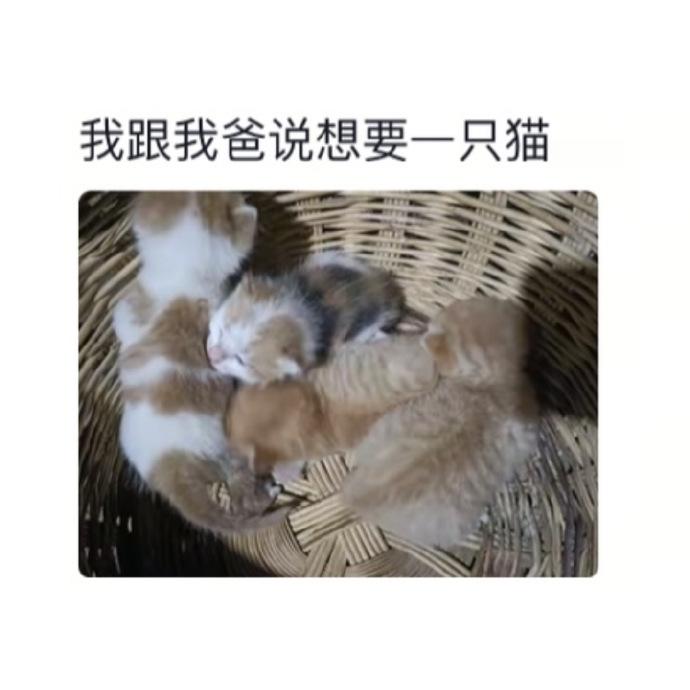 父亲总在莫名其妙的地方很大方 ​​​
