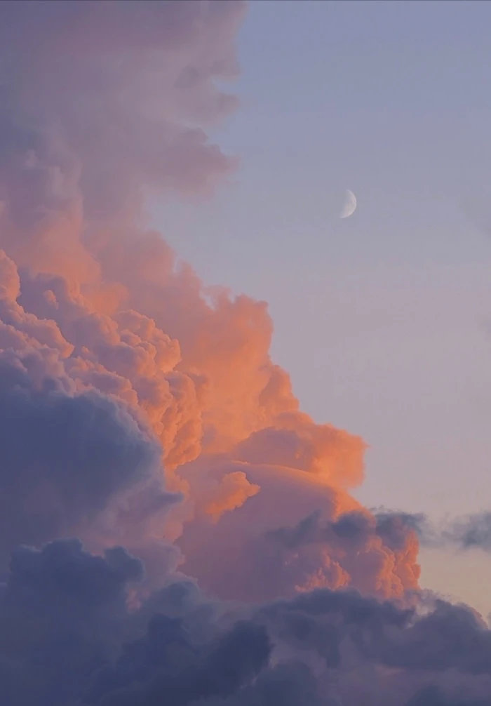 一朵玫瑰正马不停蹄地成为另一朵玫瑰。你是云、是海、是忘却，你也是你曾失去的每一个