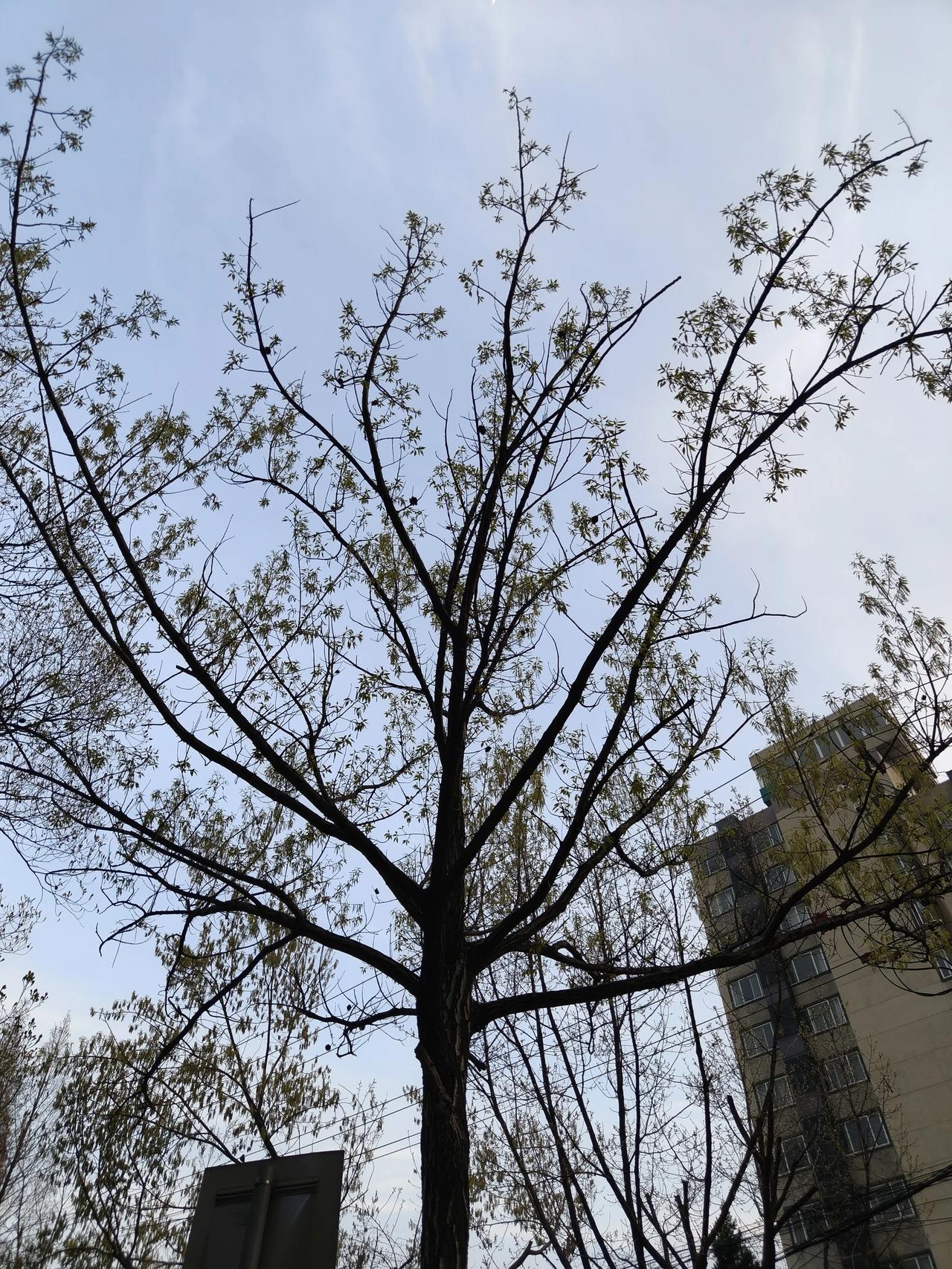 这两天天空不是很蓝，偶尔还下会雨…🌧️🌧️🌧️🌧️
不过这会儿外面天气不