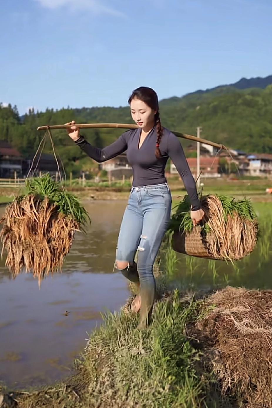 五律·初夏即景
〔当代〕邹謇

孟夏‌农时迫，家家尽插秧。
疏苗随地布，直垄逐溪