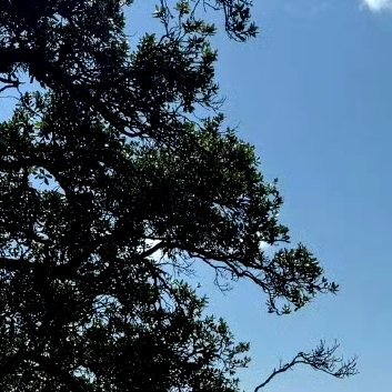 每日一善‎每日一善 ‎阳光‎信用 曾经的梦想，总在走走停停的日子里渐行渐远渐无言