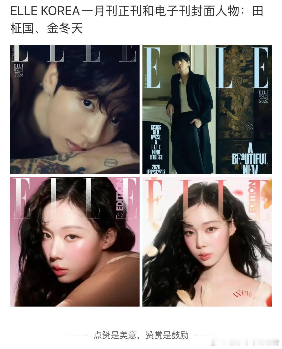 也是没想到了金冬天和田柾国还有售后ELLE KOREA一月刊正刊和电子刊封面人物