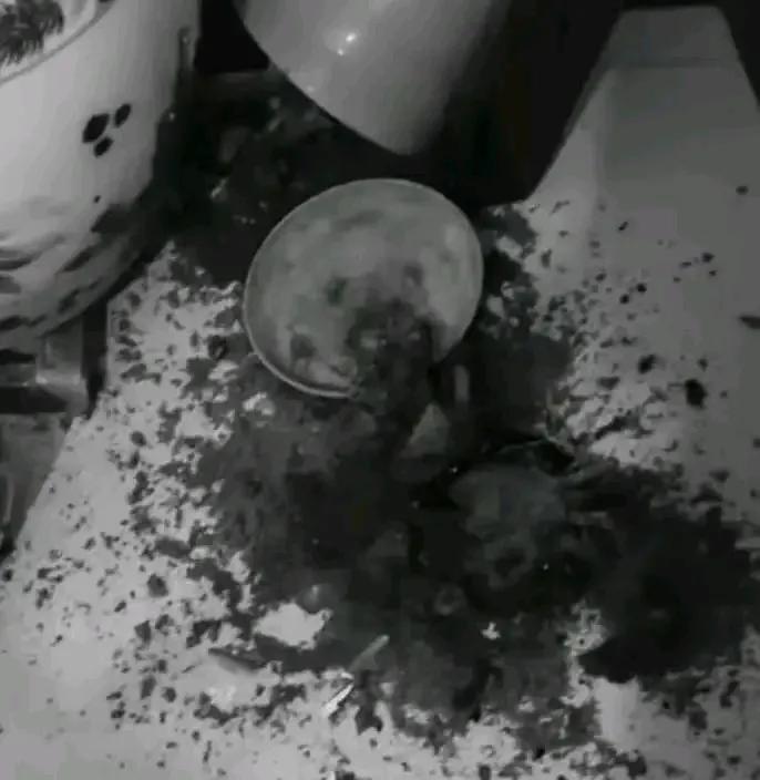 78岁老人去世，出殡当天侄子竟坐地起价，索要3万才肯摔盆，这究竟是人性的扭曲还是