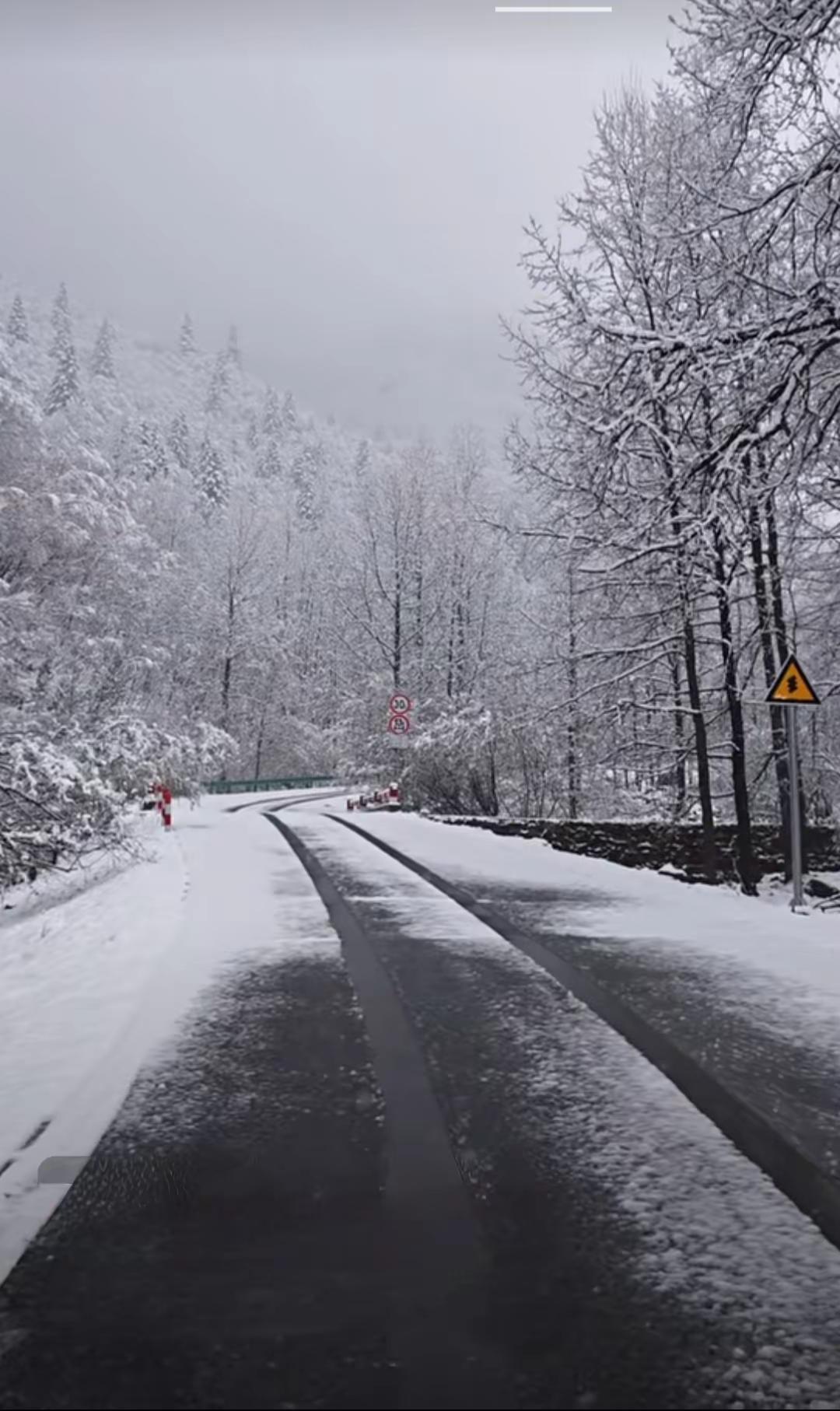 老家的路上积满了雪，却依然挡不住回家的人……