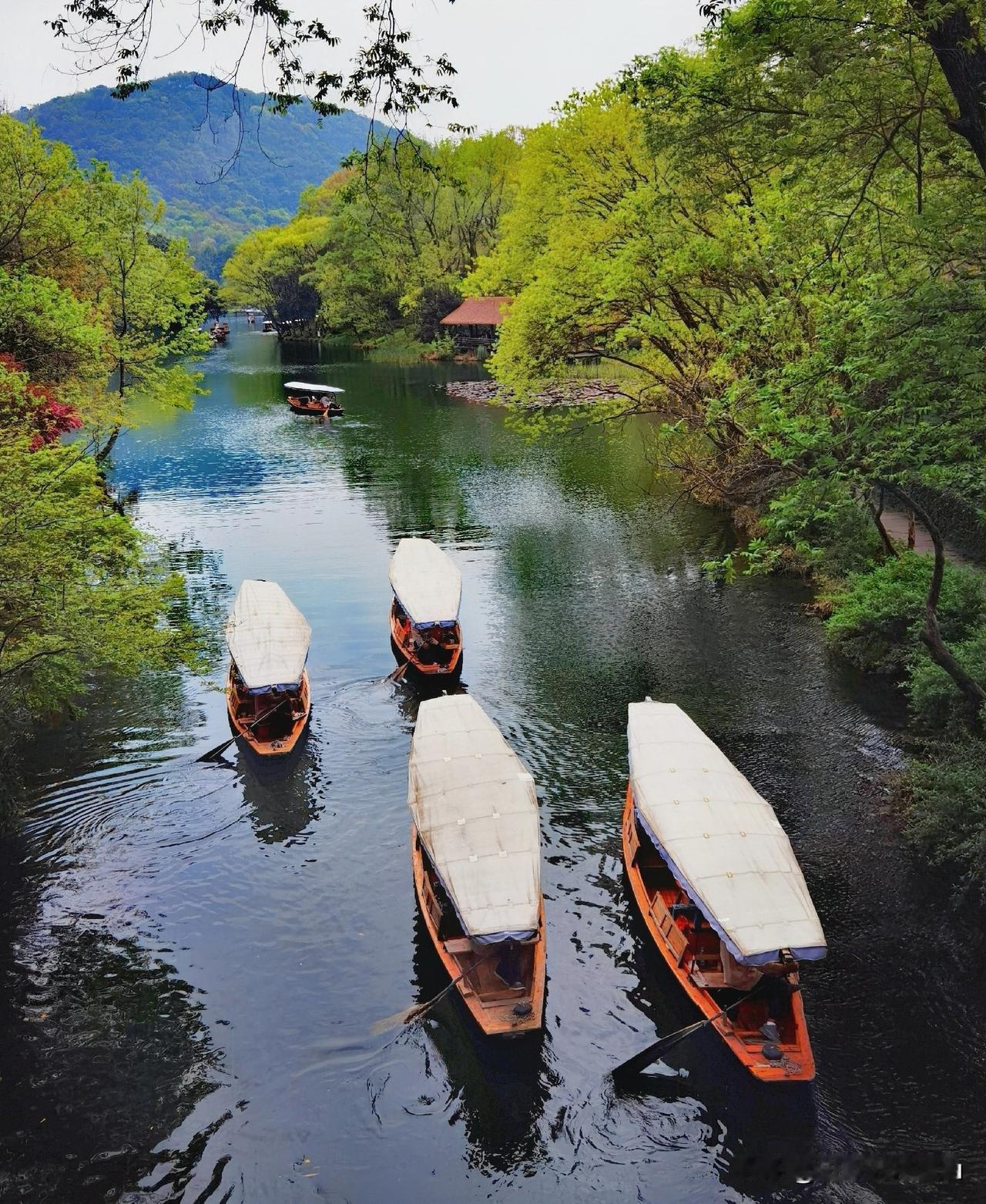 徒步杭州西湖杨公堤旁小众景点乌龟潭景区，乌龟潭是西湖西侧一处静谧的湿地景区，以自