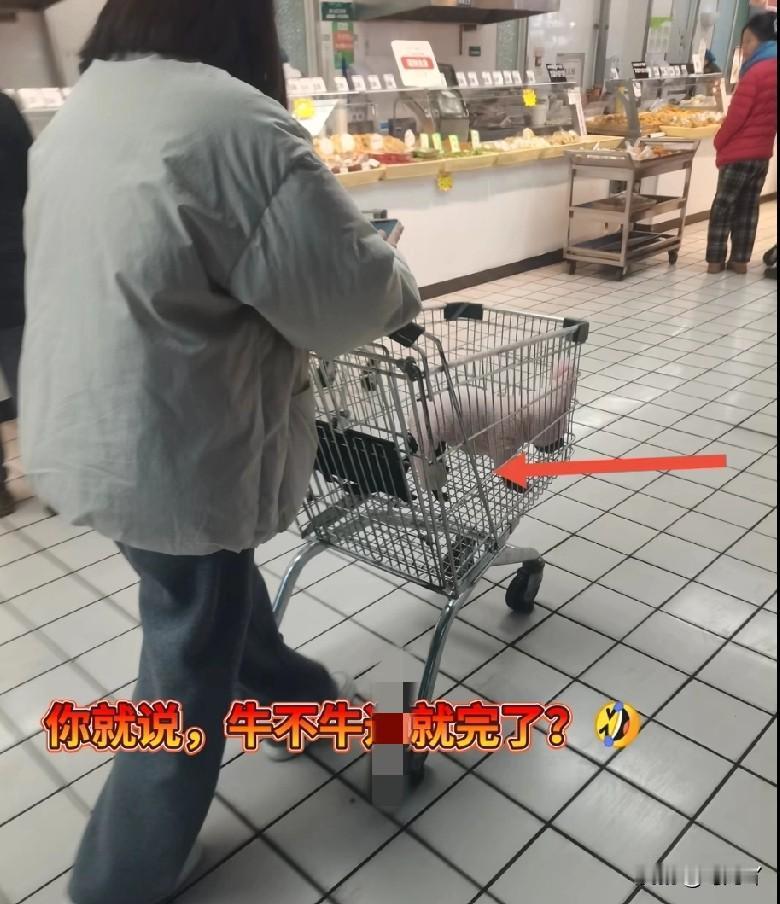 个人认为，把狗带到饭店、带进超市等行为越来越多，就是北京那场狗官司惹的祸！

因