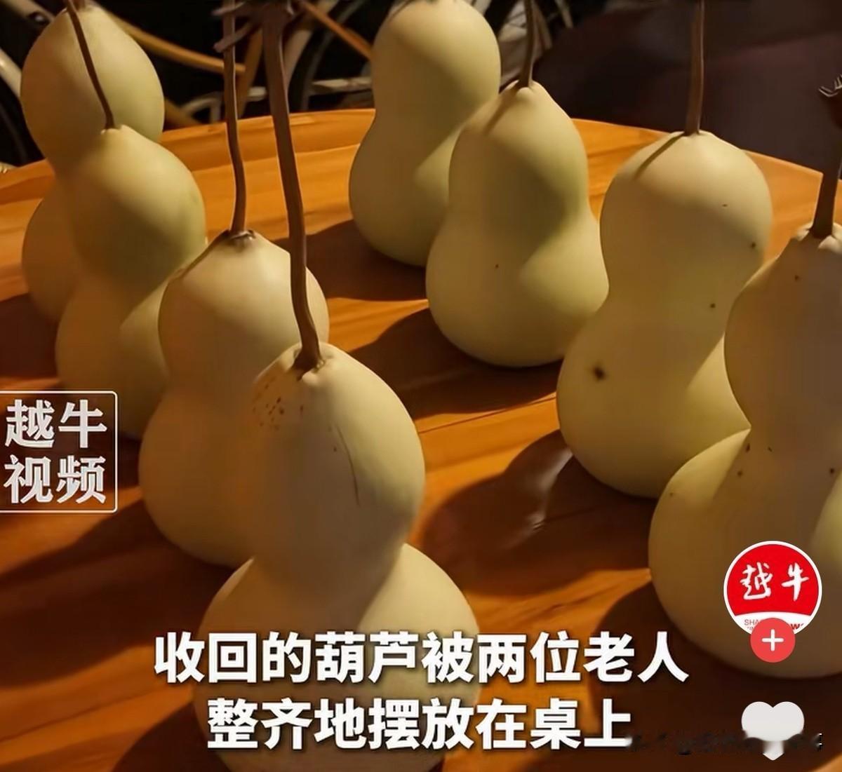 7个葫芦为啥被剪了？爷爷奶奶也该回归平静生活了
我有预感，这事很快就会过去，但对