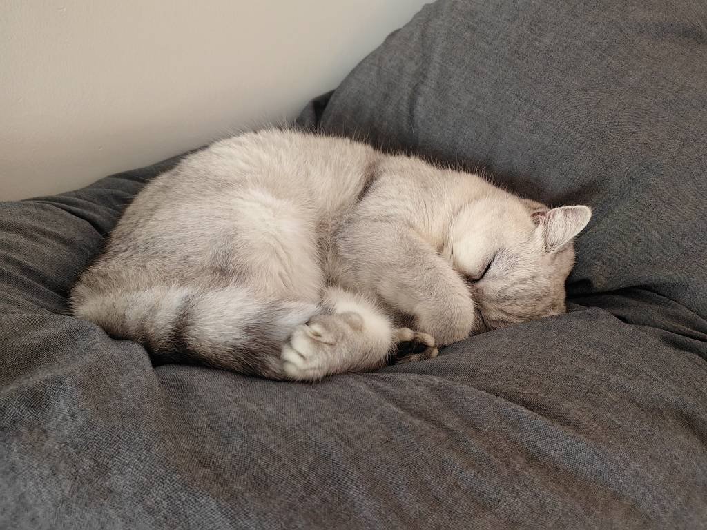 碎片化睡眠3个月后身体的变化 自从欧洲回来倒时差后，睡眠也是睡睡醒醒。好在自由职