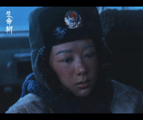 杨紫张哲华新剧暧昧期就有婚后感追《生命树》被白菊邵云飞甜到心颤💞，还没确定关系