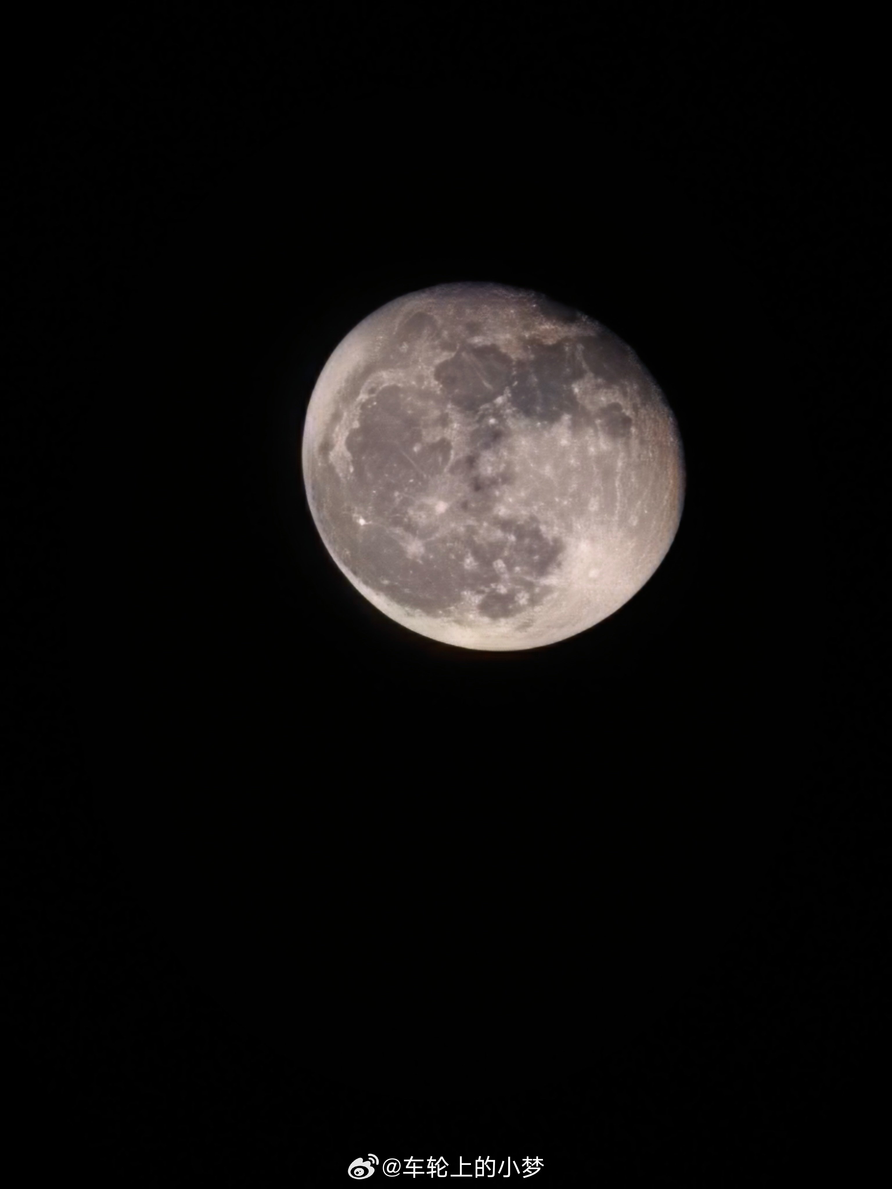 今晚夜色很美。 泰安·五大夫松