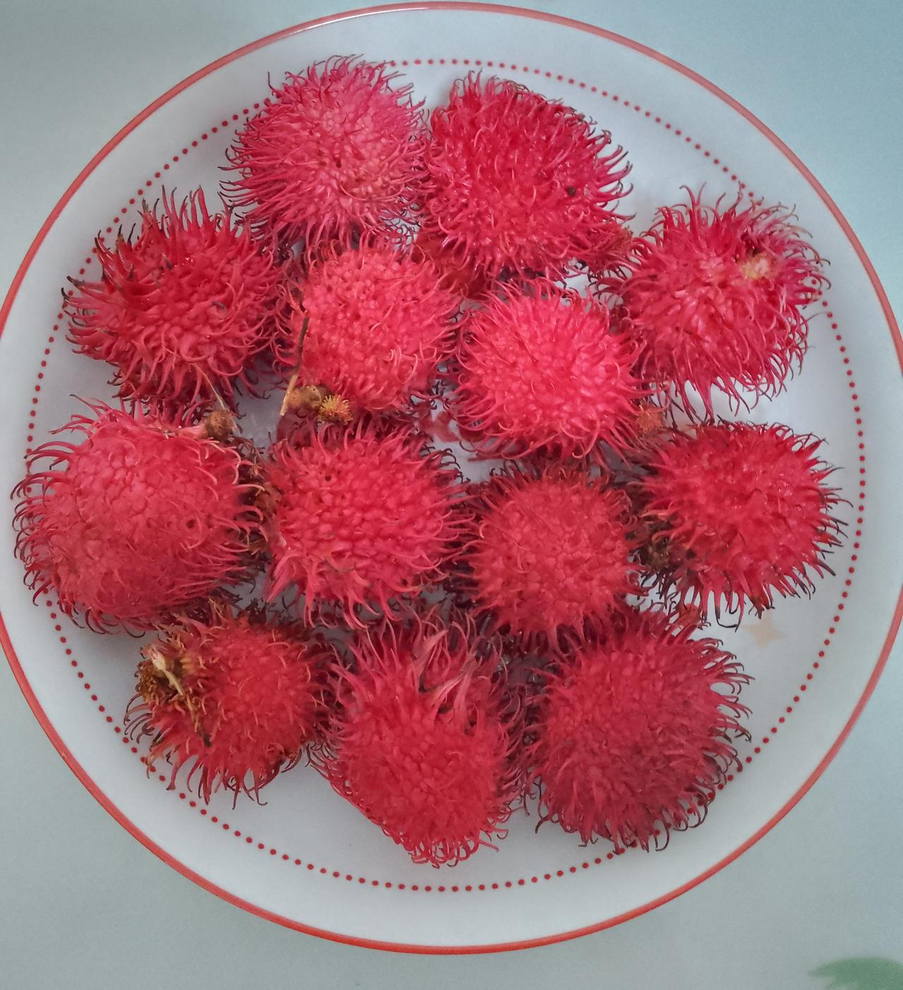 看图说话，图一图二是红毛丹，又叫番鬼鸡枝，肉是白色的，但味道比荔枝淡。图三图四是