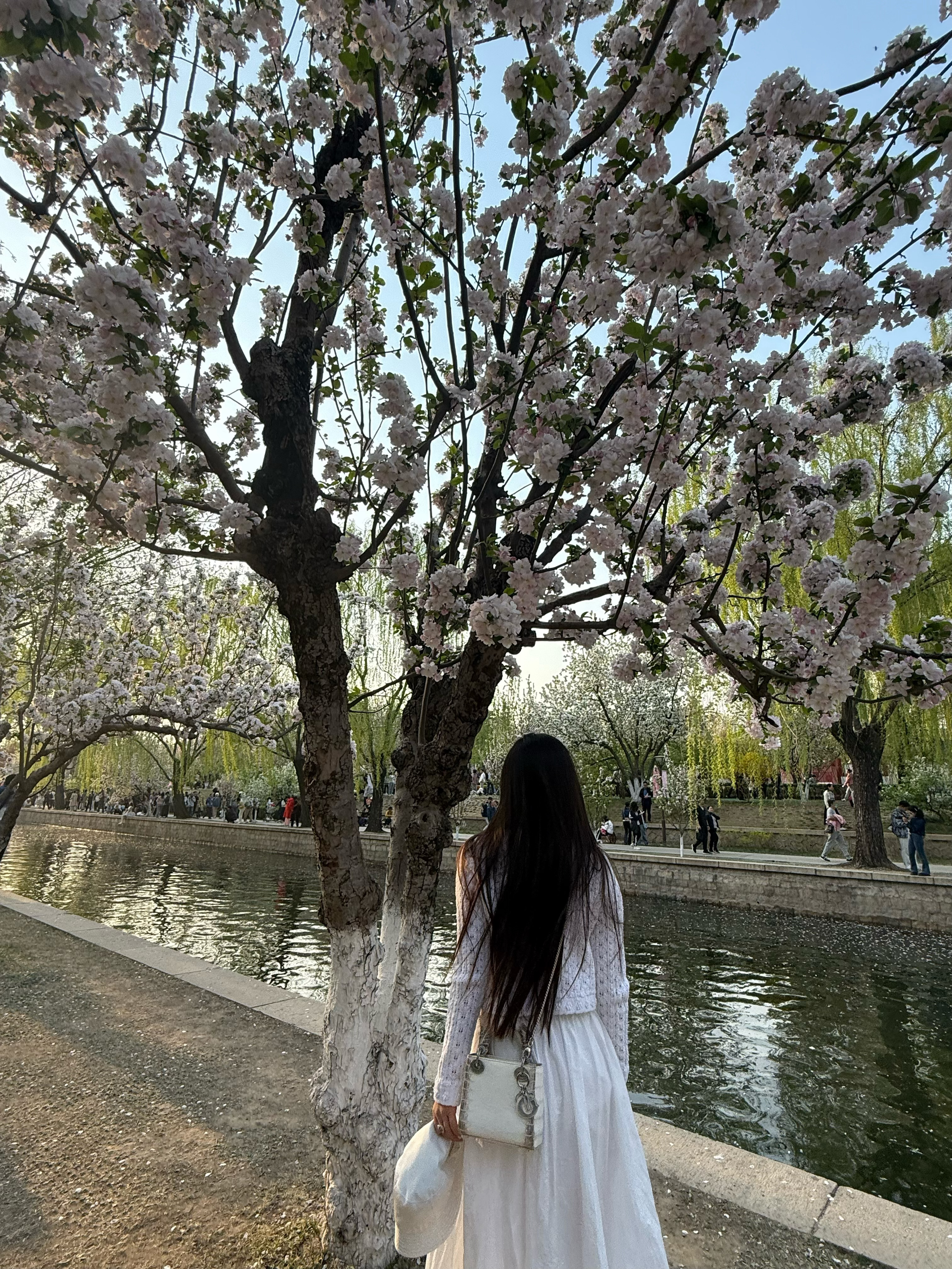 孙嘉璐[超话] 今日份北京🌸🥂 ​​​