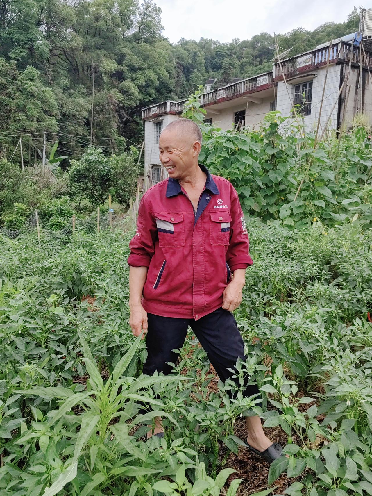 家门口的新菜园子。
​
​跟着爸妈摘菜，实现了蔬菜自由[笑]