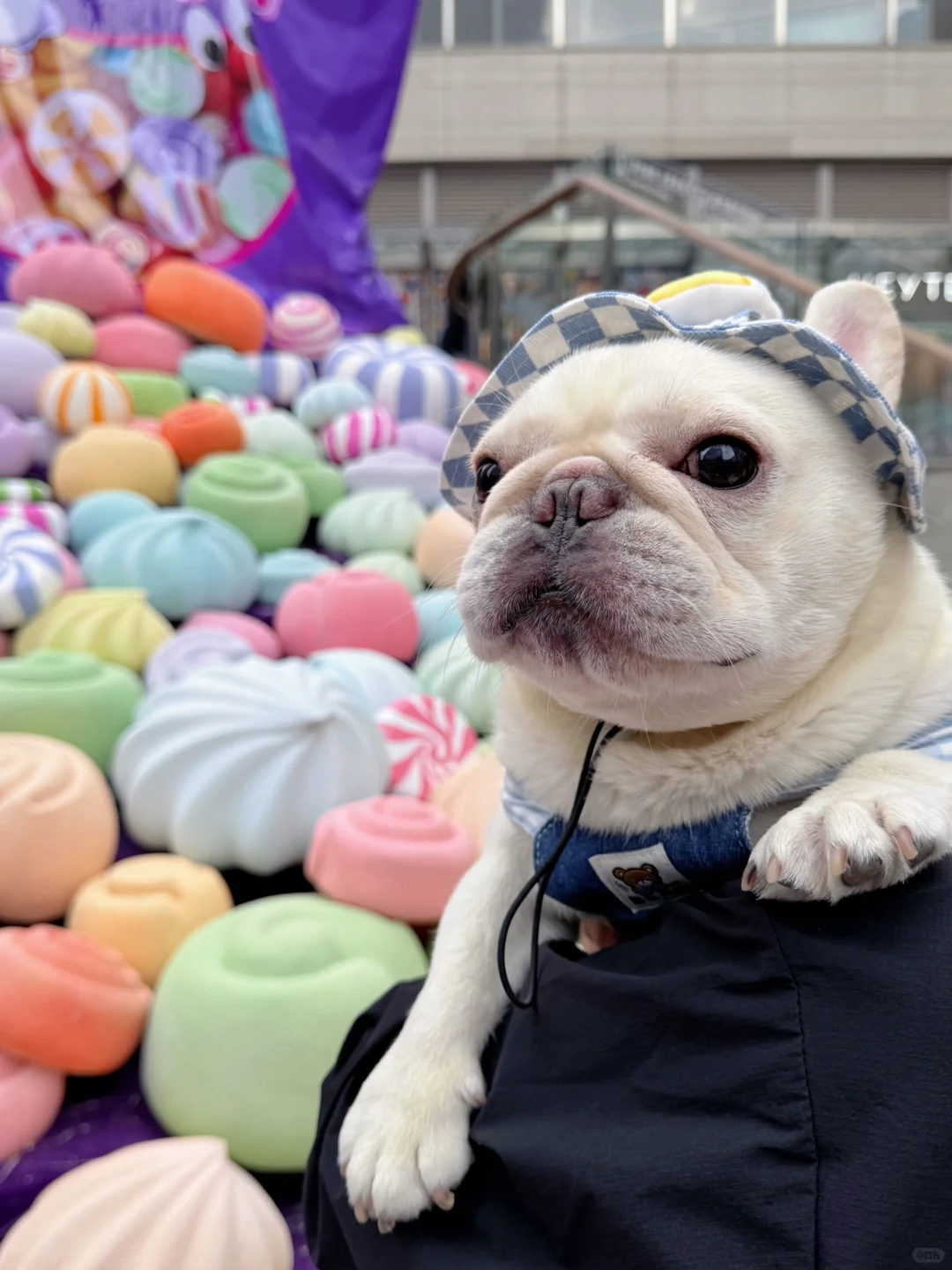 谁说天上不能掉糖果？🍬