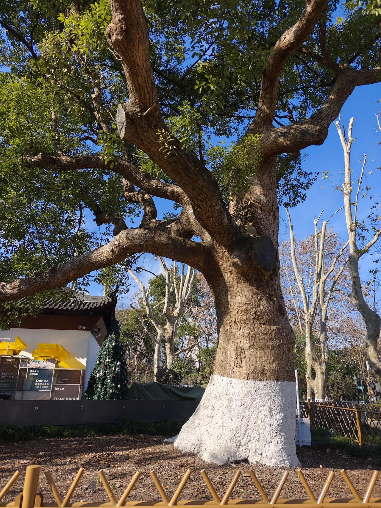 深度思考是指在面对问题、信息时，不满足于表面的认知，而是深入探究其本质、原因、影