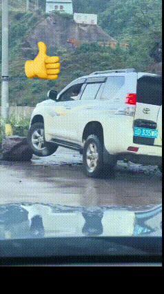 有钱人就是豪横[赞]