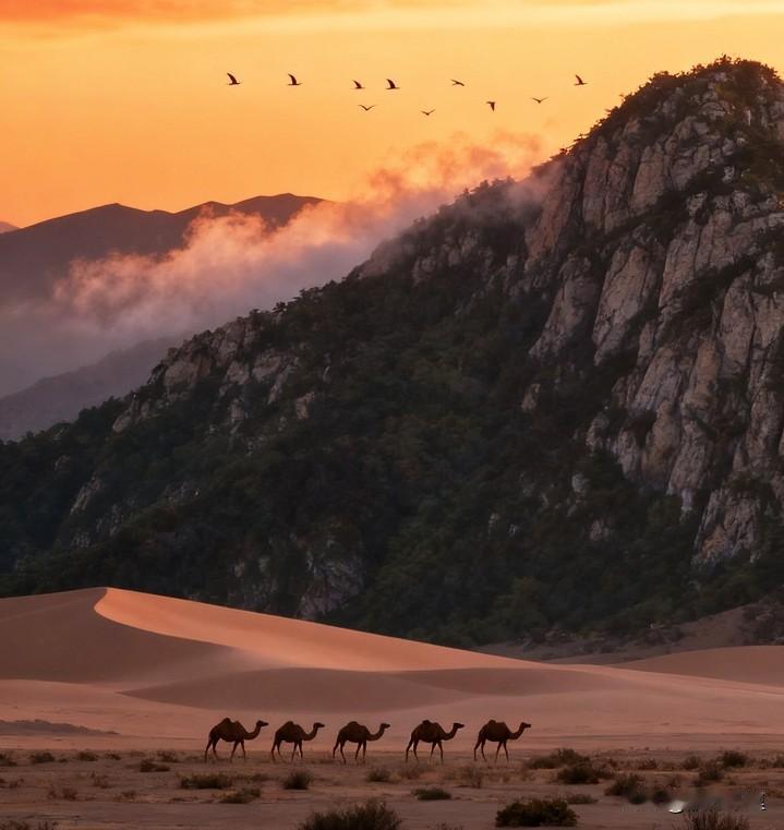 真正的高手，
一定都是长期主义者。
人生的棋局从不因一步的得失而定输赢。

偶尔