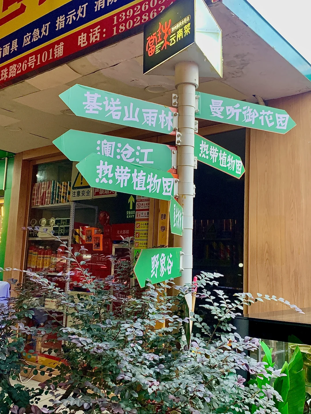 当珠上黑松露松茸新品啦！秒回云南快乐老家