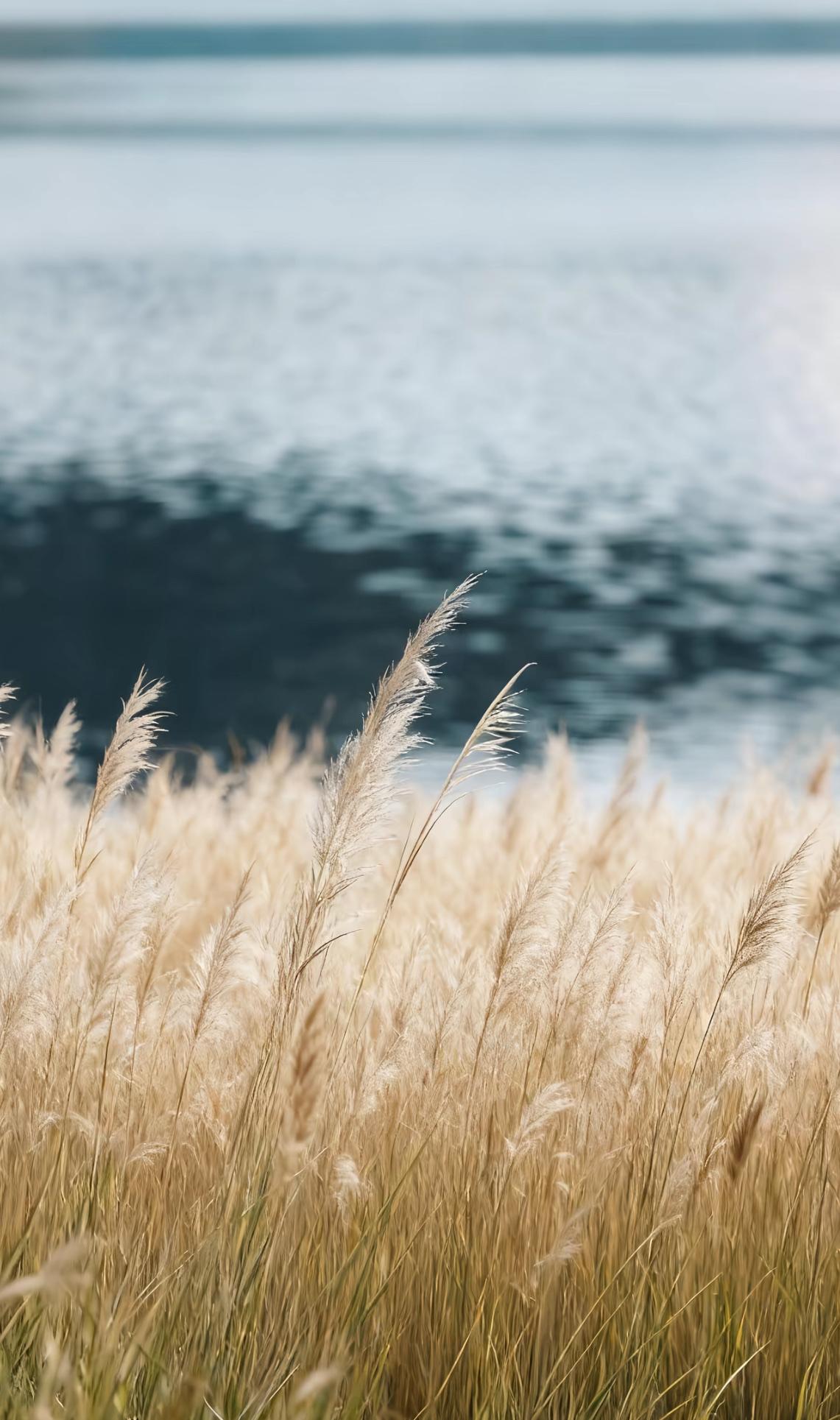 静处清风归云影

• 忙里疏星初月夜

• 醉里残荷浮烟水

• 寂中孤灯伴书案