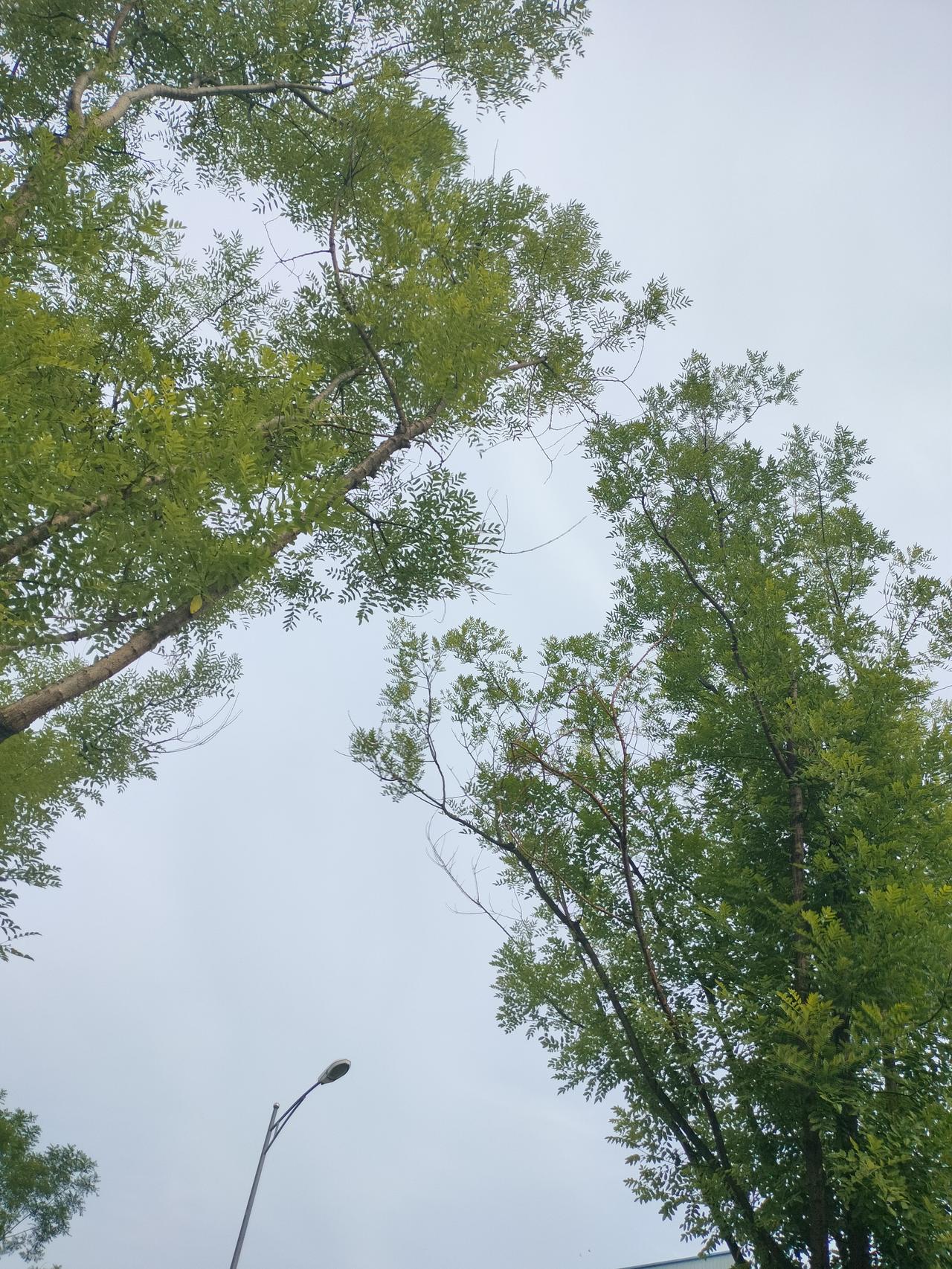 分享早晨的晨语。活的随心，过的随意，顺其自然才是快乐人生，开启新的一天！