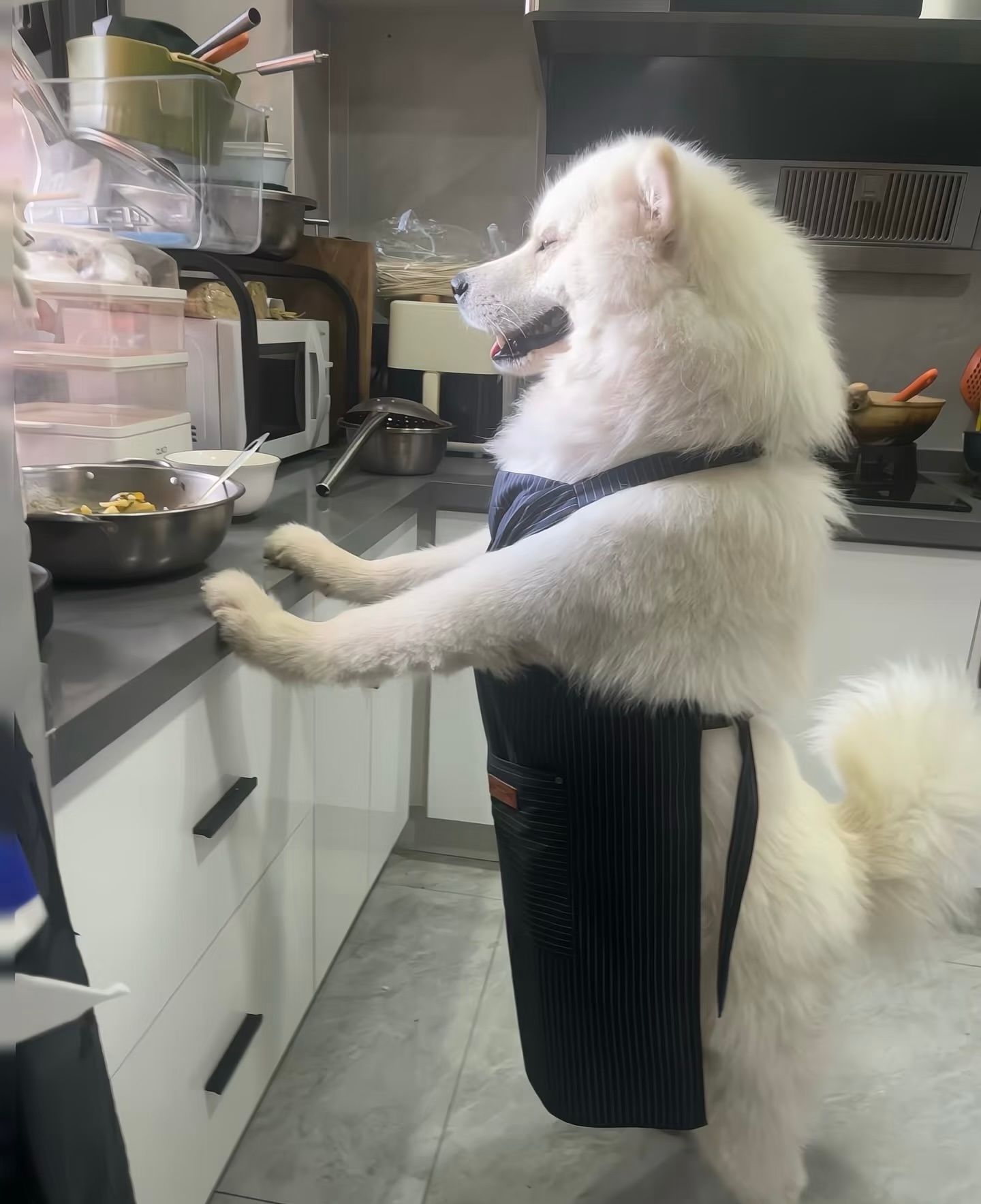 耶师傅今天来给你露一手！ ​​​