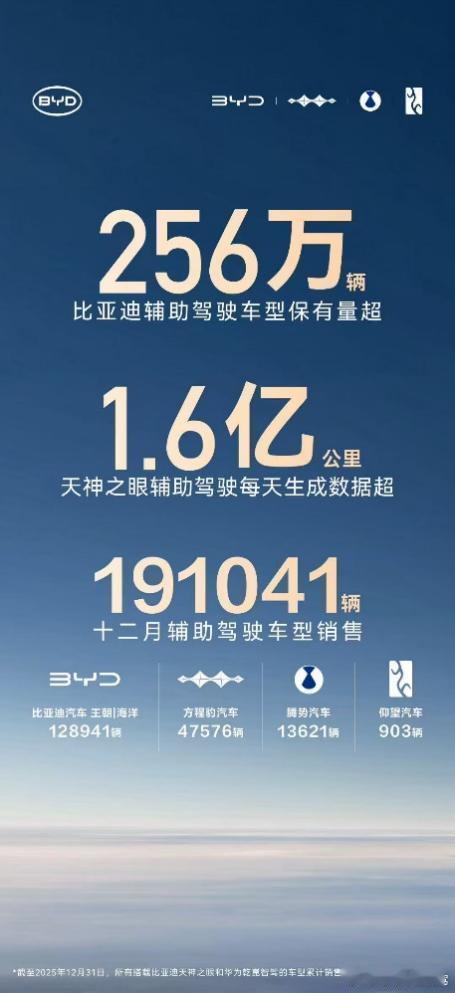 256 万 + 用户共同选择，比亚迪辅助驾驶跑出加速度当辅助驾驶从汽车行业的 “